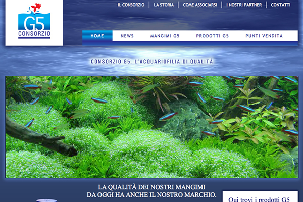 Sito Consorzio G5 Sito Consorzio G5